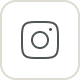 icono instagram